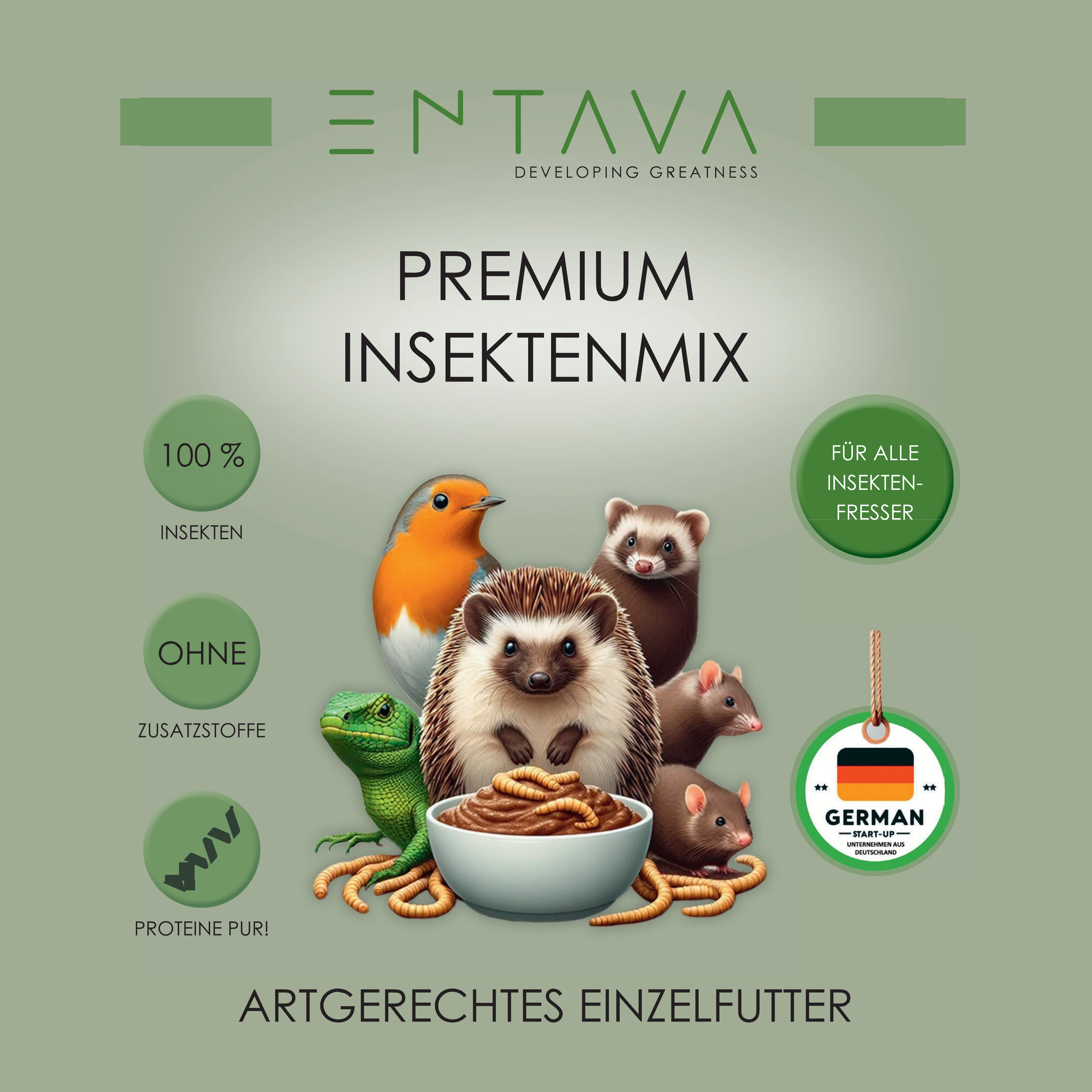 Premium Insektenmix getrocknet, 10L für Insektenfresser